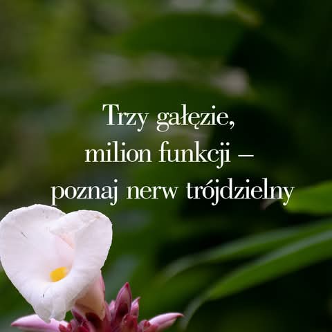 Jak nerw trójdzielny wpływa na codzienne życie