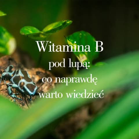 Witaminy z grupy B a ból nerwów — co wiemy
