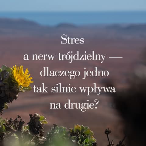 Ból ma więcej niż jedno źródło