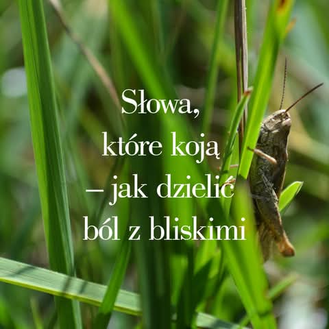 Jak ból nerwu trójdzielnego zmienia życie