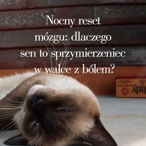 Przewlekły ból a relacje i wycofanie z życia