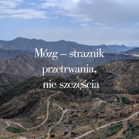 Dlaczego mózg nie jest stworzony do ciągłego spokoju
