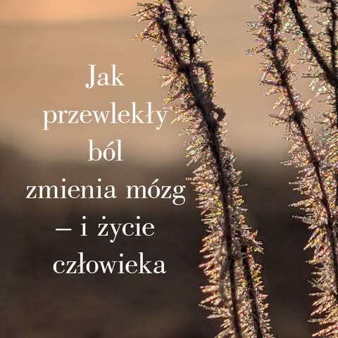 Pamięć a przewlekły ból i leki
