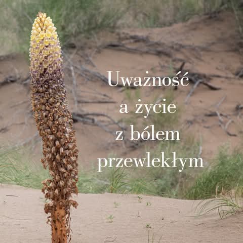 Pierwsze lata z bólem i odkrywanie uważności