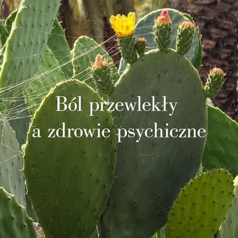 Temat, który siedzi nam wszystkim w głowach